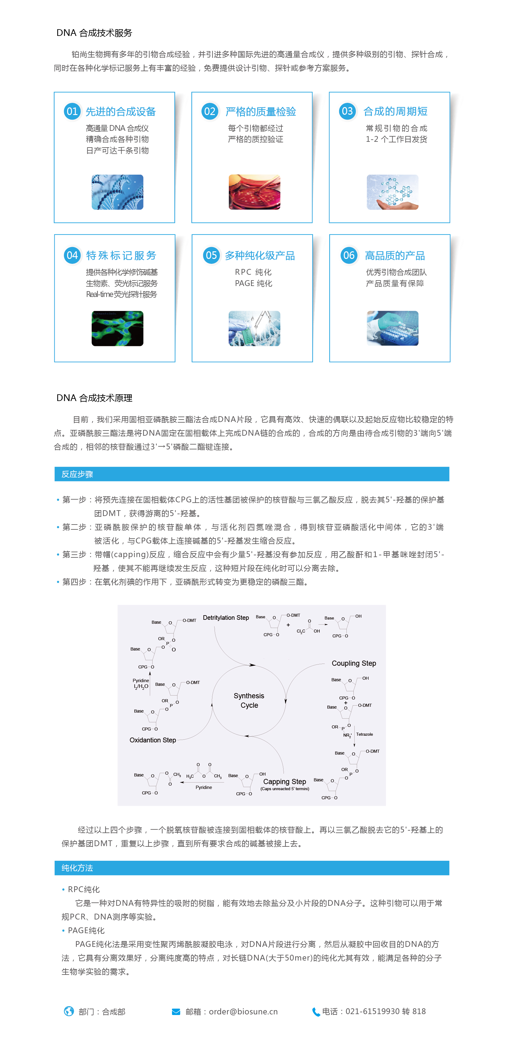 DNA 合成技术服务-01.jpg