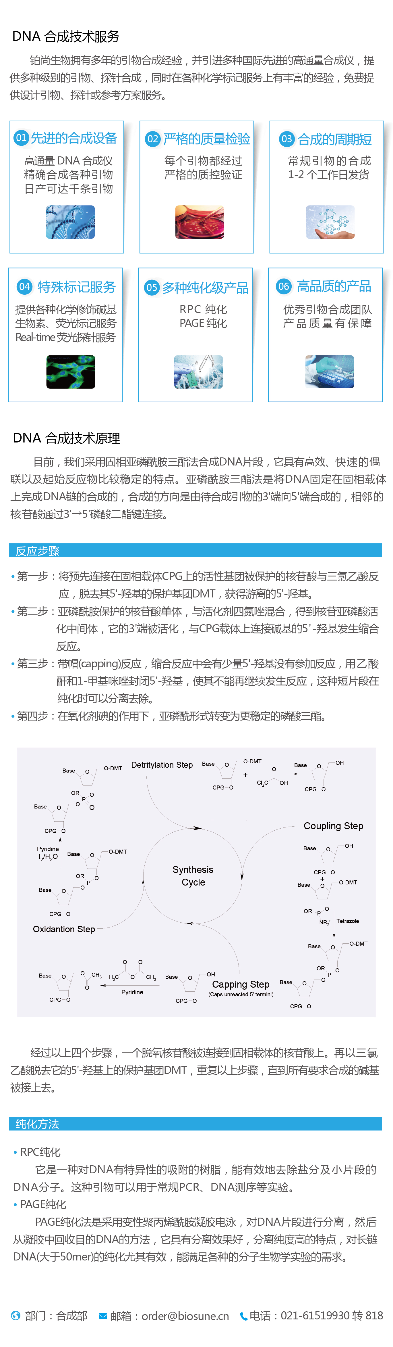 DNA 合成技术服务-01.jpg